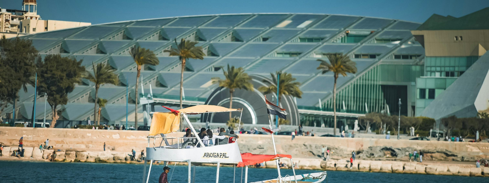 مكتبة الاسكندرية